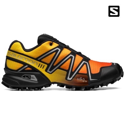 Multicolor Salomon Speedcross 3 Gradient Men's Sneakers | PH 63471Q